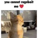 CantRagebaitMe