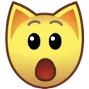 cat_omg