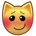 cat_blush