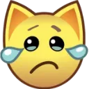 cat_cry