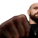 Fist