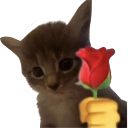 :give_rose: