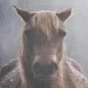 evil intimidating horse