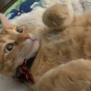 :Adorable: