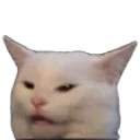 :146_annoyed: