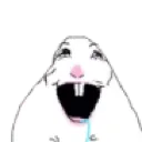 Fdrool