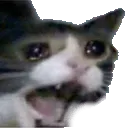 screaming_ca_discordemojihub_com