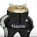 napim54