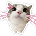 :hieeeee: