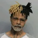 modi_hairs