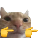 177649catfingerguns