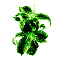 Wisteria Discord emoji