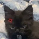 mad