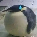 :emoji_11: