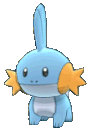 Mudkip