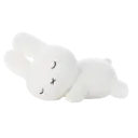 036_sleepy