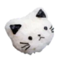039_cat