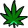 Greennnn