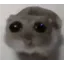 HomaBlush