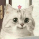 :93363innocentkitty: