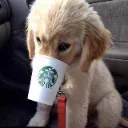 Doggy
