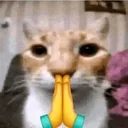 Pls