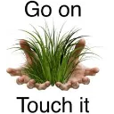 touch