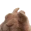 BunnyDance
