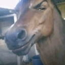 :emoji_14: