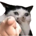 :200_youuu: