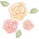 softcarnations