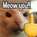 :meowyou: