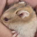 :Angiebtw: