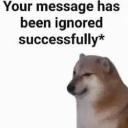 A Shiba Inu dog looking away with the text Your message has been ignored successfully above it.