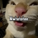 A close-up of a cat with squinted eyes and a mischievous expression with the text Mwhehehee overlaid.