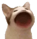 PopCat