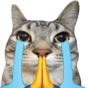 A gray cat with large, long blue tears streaming down its face, holding its paws together in a prayer gesture.