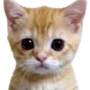 emoji_18