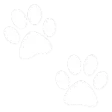 white_paws