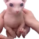 emoji_70
