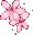 02PinkFlower