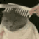 :CatHairCut: