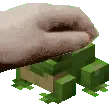 sapinho_carinho