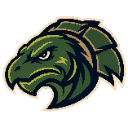 Turtles logo