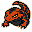 Salamanders logo