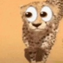 :eye: