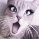 :shalisha: