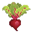 beatroot