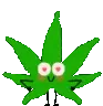 TO_ExcitedWeed