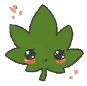 TO_CuteWeed